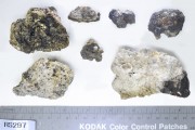 Concretions artefact recovered from Lively Rowley Shoals