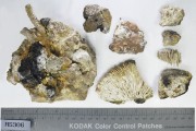 Concretions artefact recovered from Lively Rowley Shoals