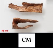 Copper/brass artefact recovered from Lively Rowley Shoals