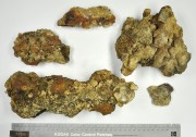 Concretions artefact recovered from Lively Rowley Shoals