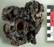 Concretions artefact recovered from Lively Rowley Shoals