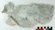 Lead artefact recovered from Lively Rowley Shoals