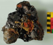 Concretions artefact recovered from Lively Rowley Shoals