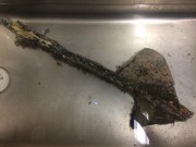 NON-FERROUS artefact recovered from Seabird Catalina