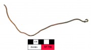Copper/brass artefact recovered from Lancier [Stragglers]