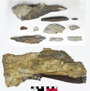 Miscellaneous/Unidentified artefact recovered from Unidentified