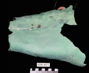 Copper/brass artefact recovered from Ville De Rouen