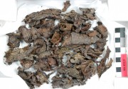 Textile artefact recovered from Xantho