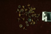Copper/brass artefact recovered from Zuiddorp (Zuytdorp)