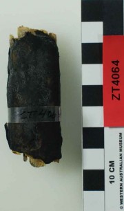 Armament artefact recovered from Zuiddorp (Zuytdorp)