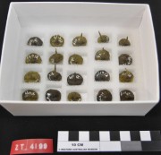 Copper/brass artefact recovered from Zuiddorp (Zuytdorp)