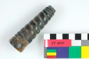 Animal artefact recovered from Zuiddorp (Zuytdorp)