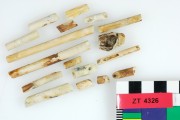 Clay pipes artefact recovered from Zuiddorp (Zuytdorp)