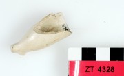 Clay pipes artefact recovered from Zuiddorp (Zuytdorp)