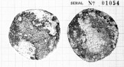  Unidentified