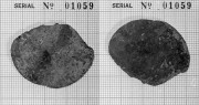  Unidentified