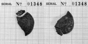  Schelling 