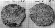  Unidentified