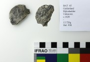 BAT65 Silver Rijksdaalder