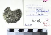 Silver Rijksdaalder 