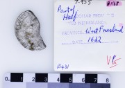 Silver 1/2 Rijksdaalder 