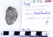 Silver Rijksdaalder 