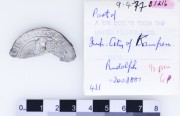 Silver Rijksdaalder 