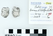 Silver Taler 