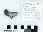 Silver Taler 