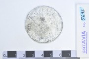 Silver Rijksdaalder 