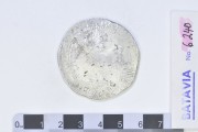 Silver Rijksdaalder 