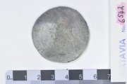 Silver Rijksdaalder 