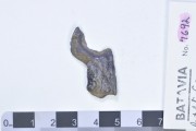 Silver Unidentified