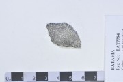 Silver Unidentified