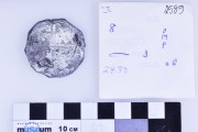 Silver 8 Reales