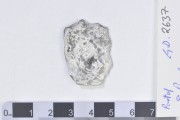 Silver 8 Reales