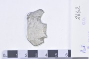 Silver 8 Reales