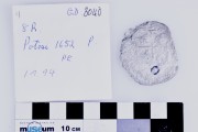 Silver 8 Reales