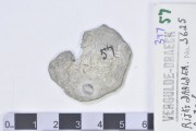 Silver Rijksdaalder 