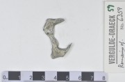 Silver 8 Reales