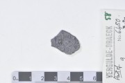 Silver 2 Reales