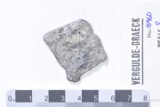 Silver 8 Reales