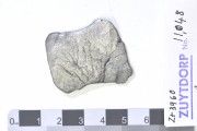 Silver 8 Reales