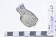 Silver 8 Reals - cob