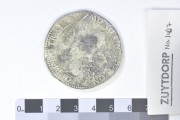 Silver Ducatoon