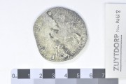 Silver Ducatoon