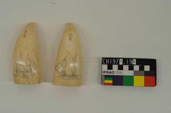 SCRIMSHAW x2, brig & barque, early 19th C