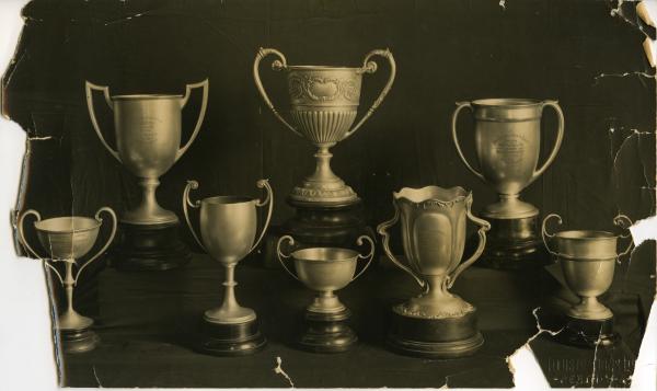 PHOTOGRAPH of 8 trophies
