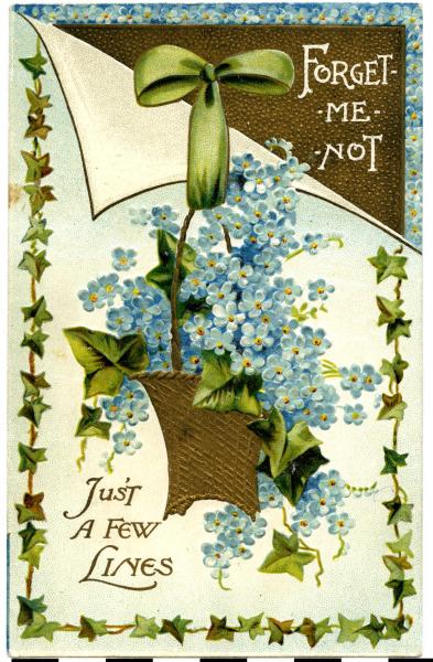 POSTCARD, Forget-Me-Not
