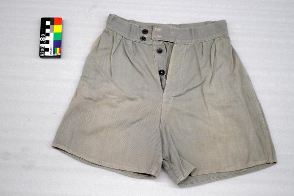 SHORTS, boy's, school, button-fly